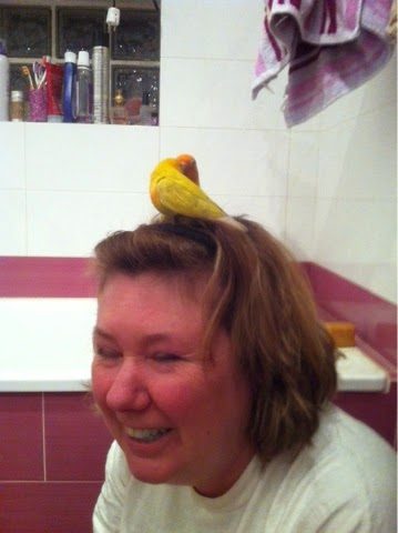 blogger-image-1105215388-7394911