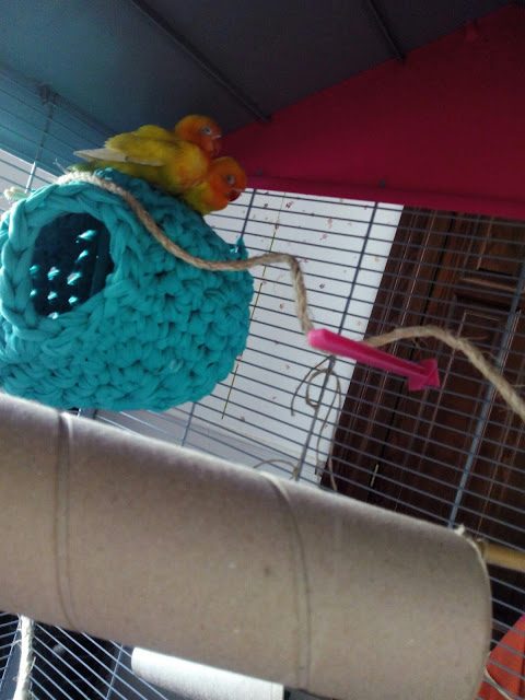 img_20150601_093823-7010691