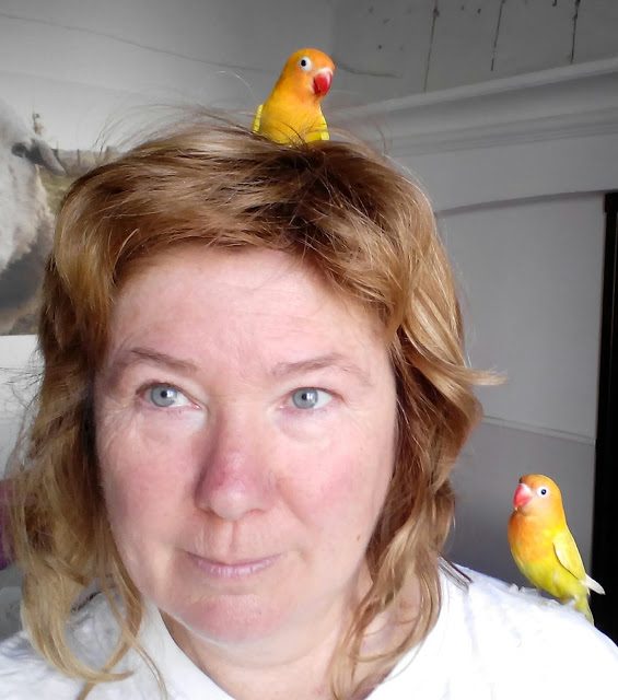 img_20150622_120811-1491830