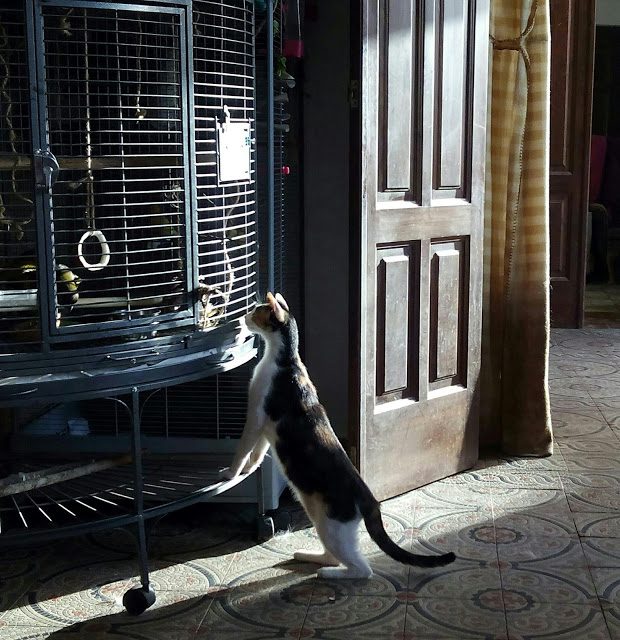 img_20150725_201304-9558970