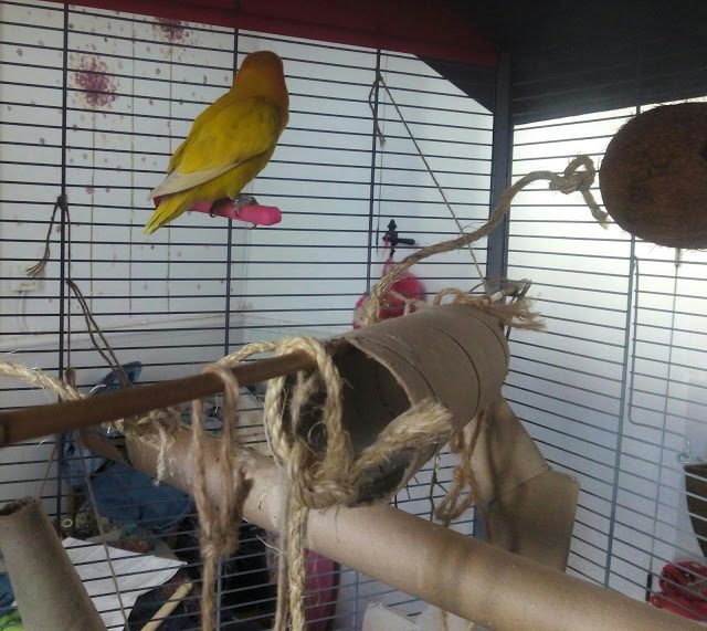 img_20150726_095101-1800621