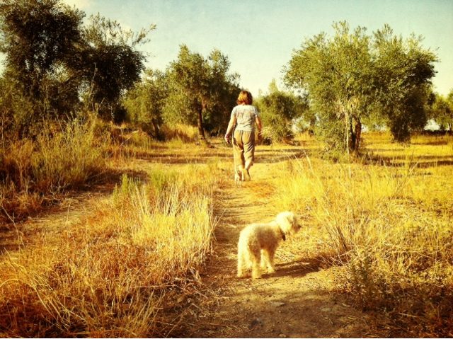 blogger-image-13148410-2727003