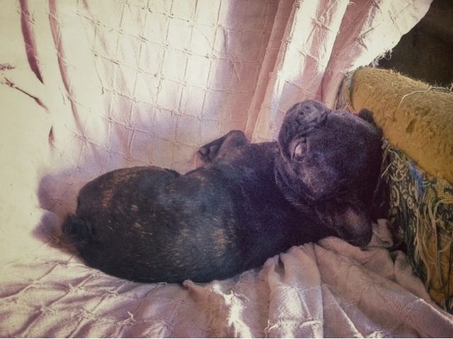 blogger-image-1590287854-9026139