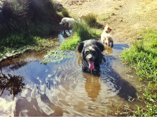 blogger-image-1628721587-8090137