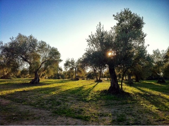 blogger-image-590060010-7477462