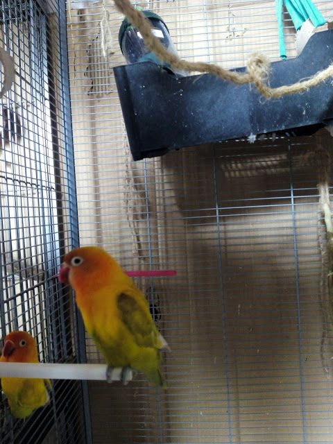 img_20160214_120800-5084989