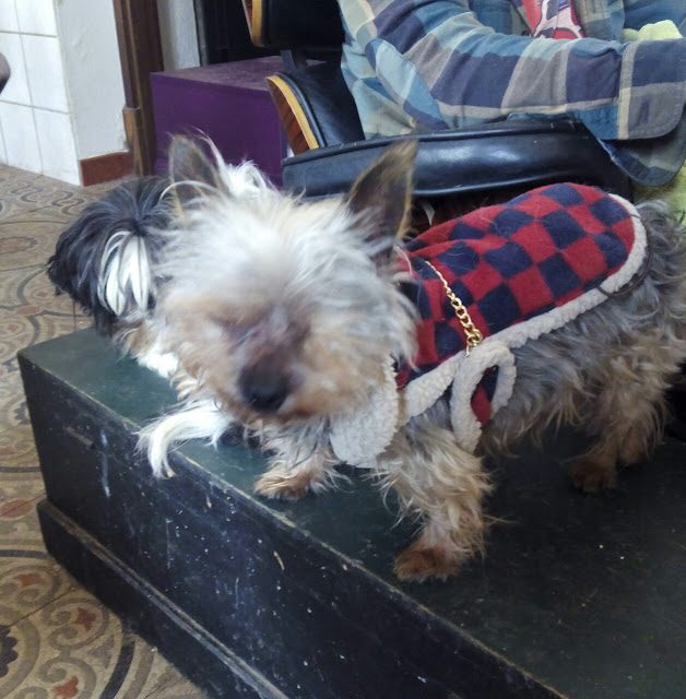 img_20160214_121358-8004253