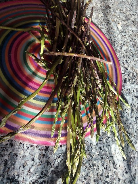 img_20160221_172031-4630637