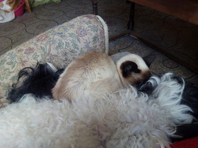 img_20160227_093930-6684006