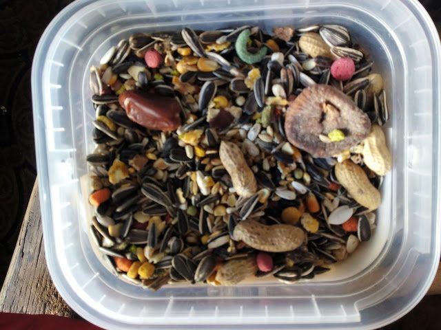 img_20160408_093237-9146750