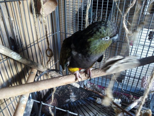 img_20160408_093324-9262584