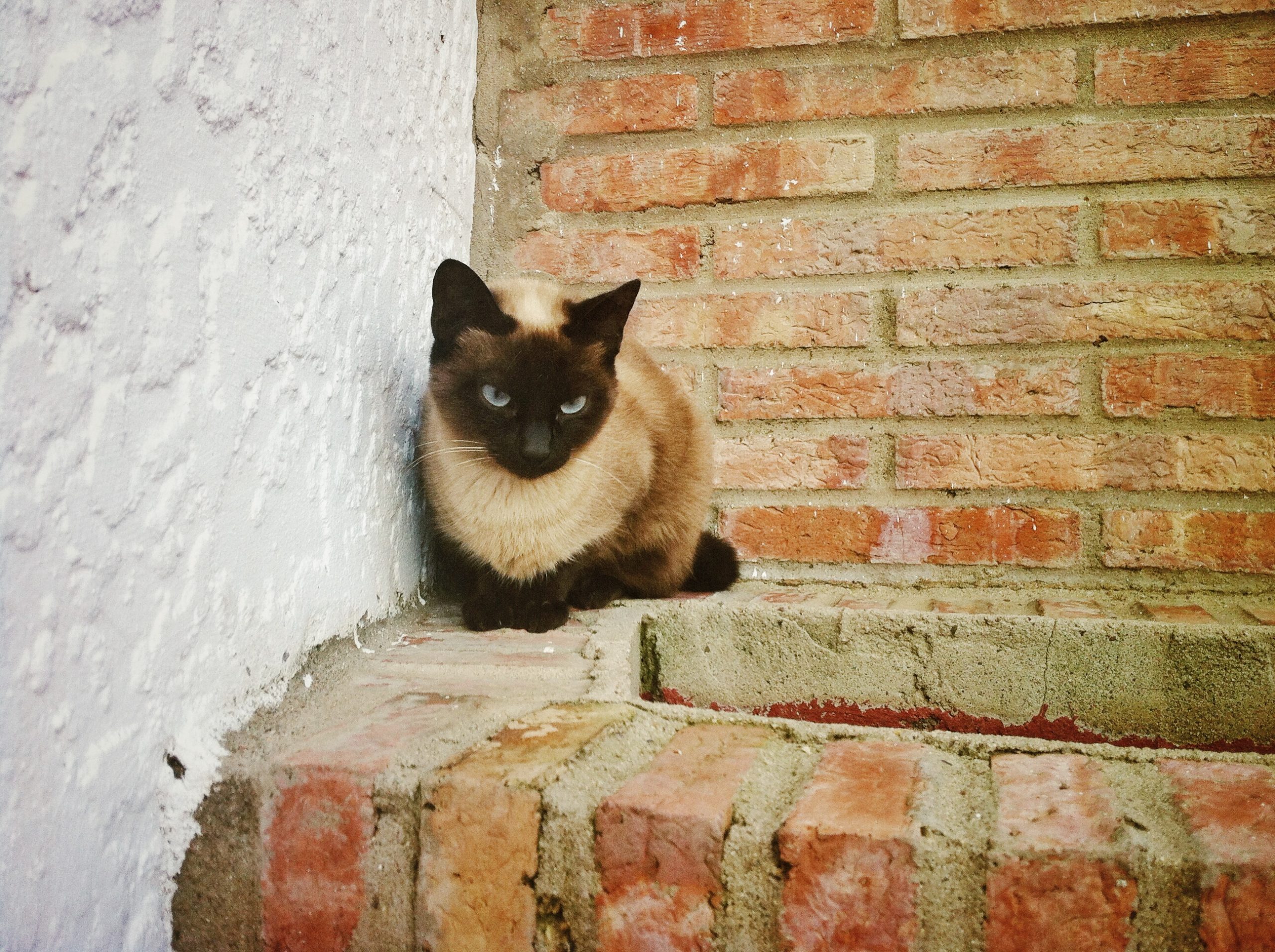 15670102481_60b84ba53d_o-5436370