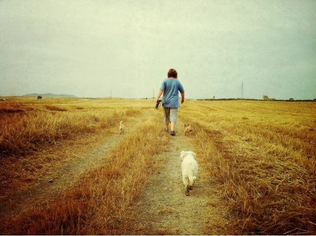 blogger-image-1474522231-1409786