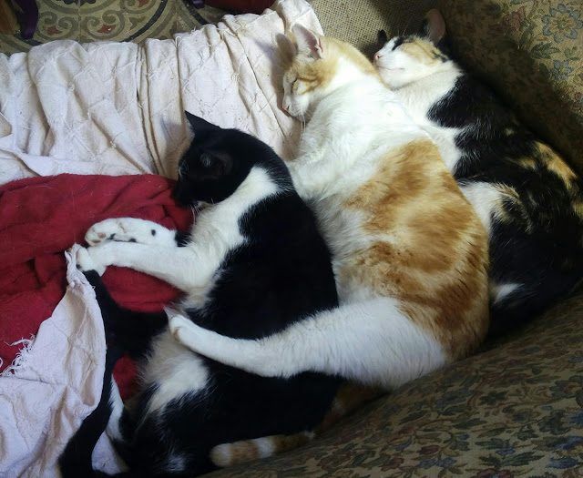 img_20160927_144153-2917195