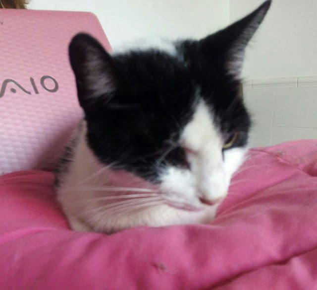 img_20161025_100856-9122583