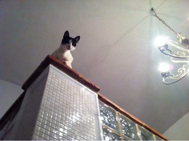 blogger-image-1050540383-4156465