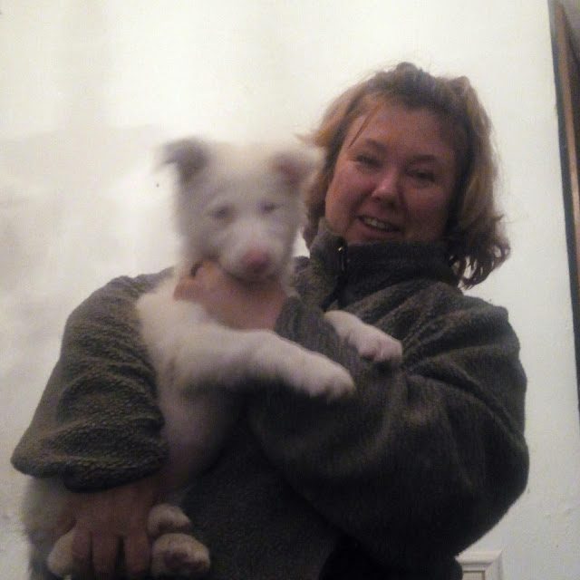 img_20161120_192416-1915053