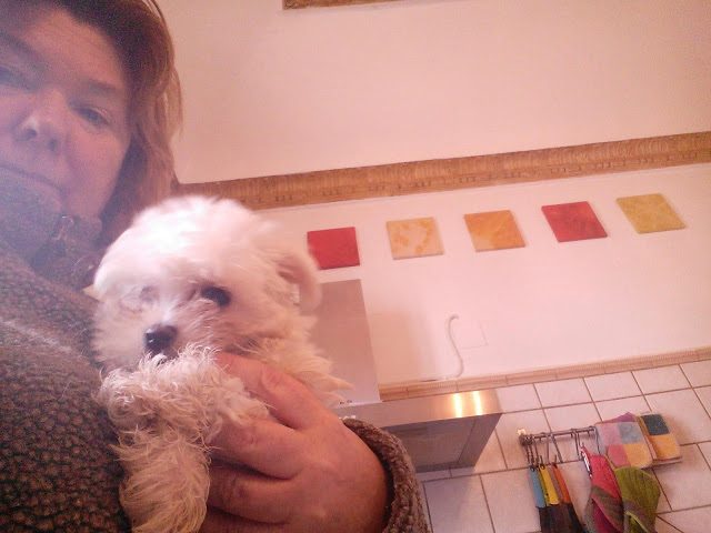 img_20161124_092738-1362707