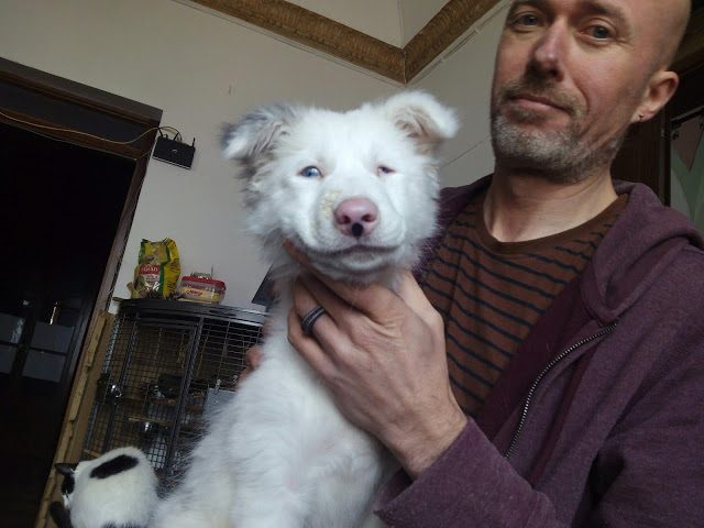 img_20161124_115919-7084596