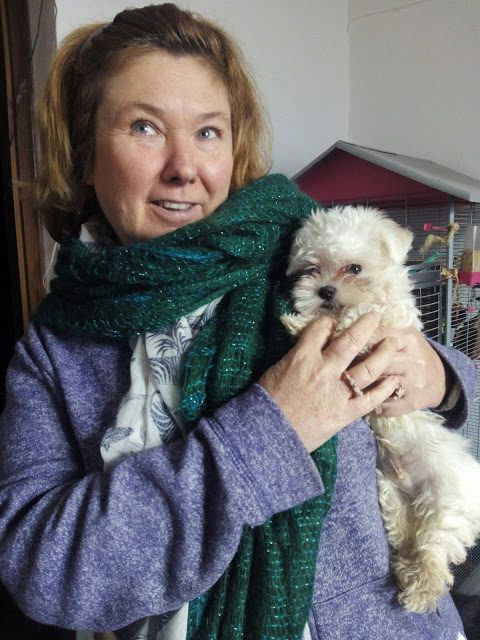 img_20161126_170745-6535283