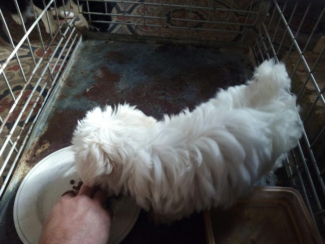 img_20161128_150216-8383252