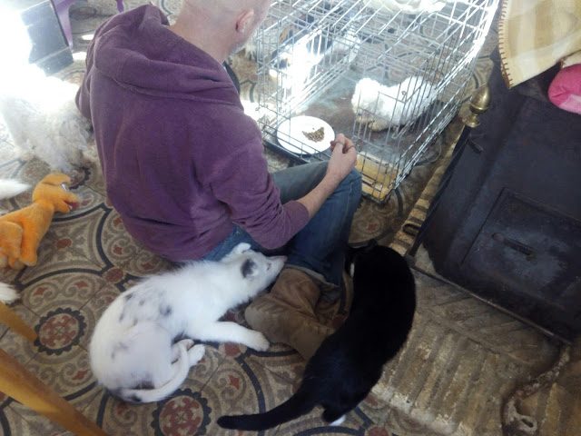 img_20161128_150627-9530102