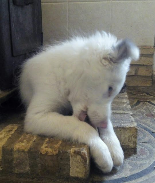 img_20161129_093838-5009341