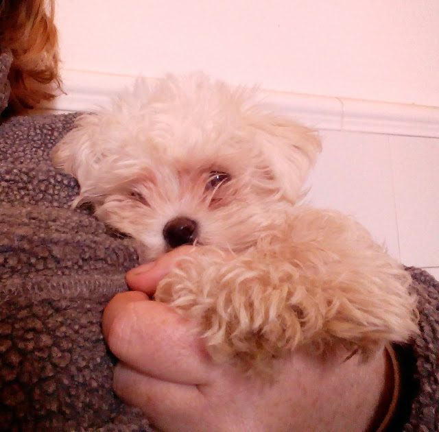 img_20161201_132107-3188462