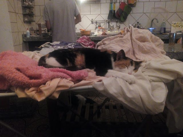 img_20161207_212532-7592433