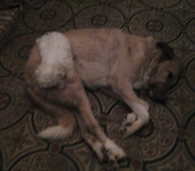 img_20161208_225308-6826693