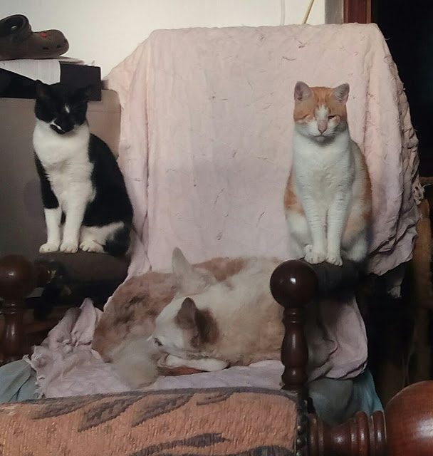 img_20161213_163838-6130040