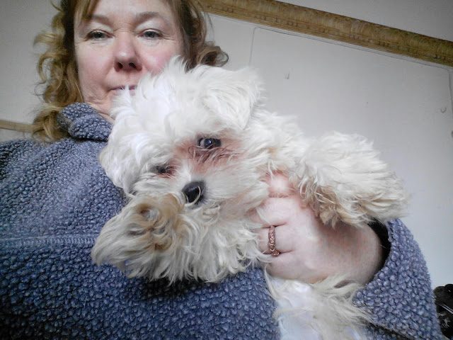 img_20161219_111040-9673320