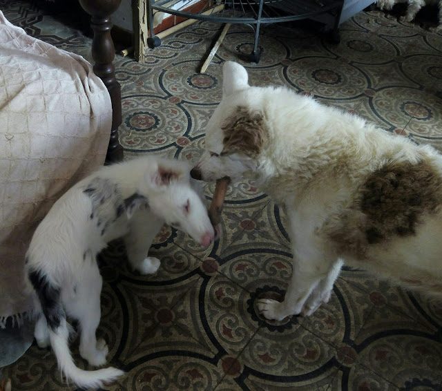 img_20161219_112020-2113624