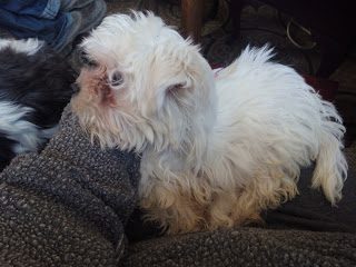 img_20161223_162809-5292757