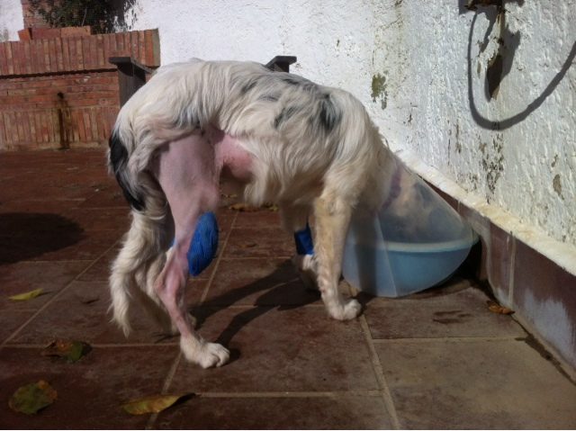 blogger-image-1084199720-9269639