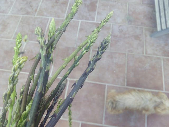 img_20170217_173122-7027640