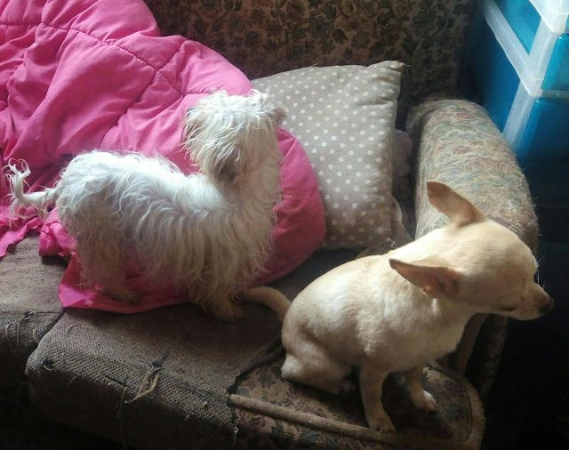 img_20170225_093841-6775471