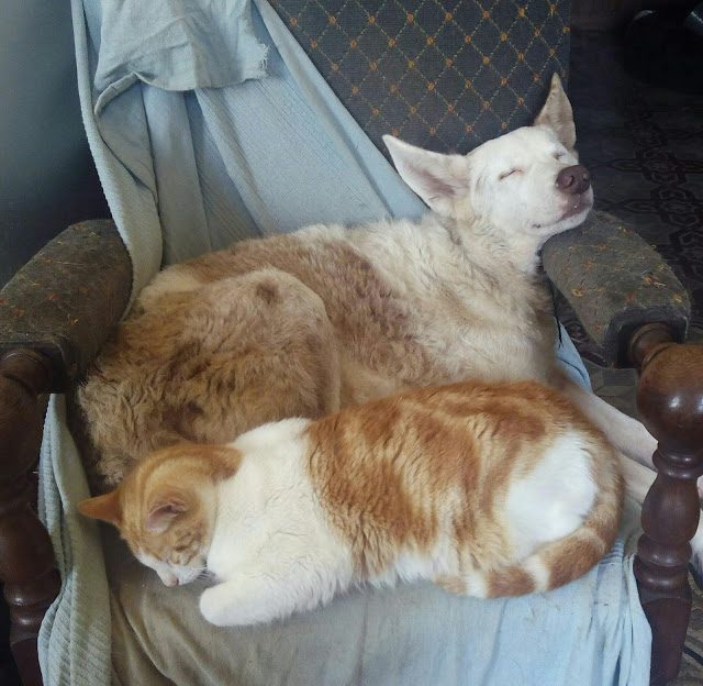 img_20170225_172931-2749374