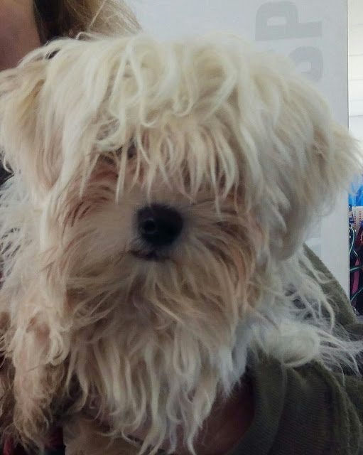 img_20170322_173703-3750735