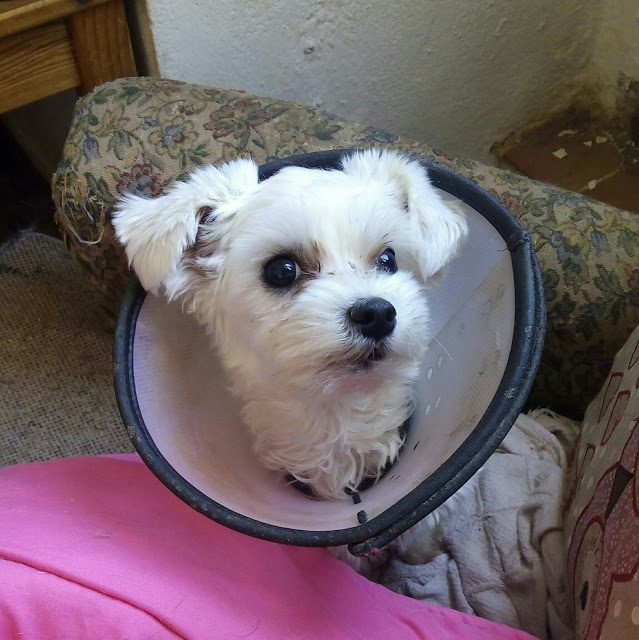 img_20170518_144022-2507725