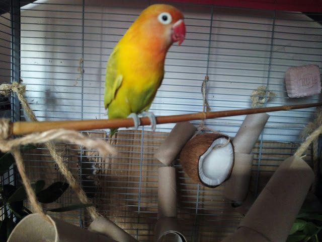 img_20171104_173214-7870191