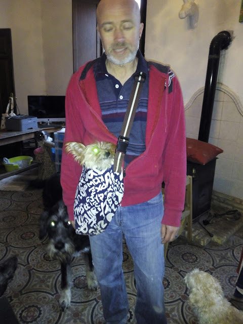 img_20171123_083011-6891740