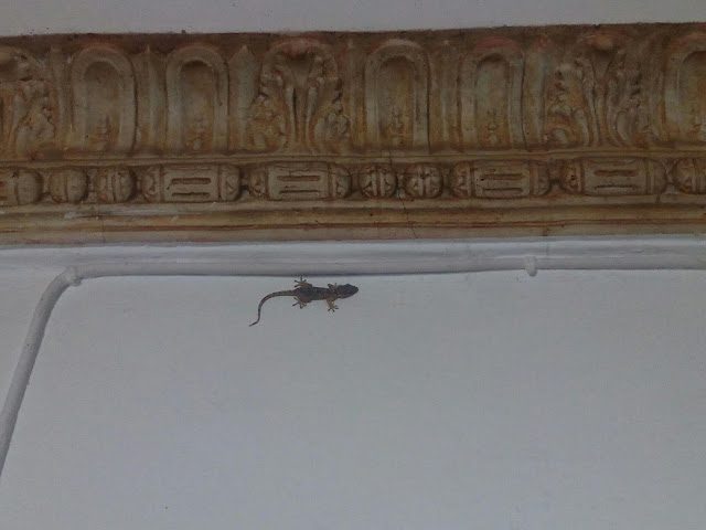 img_20180616_081451-6040253