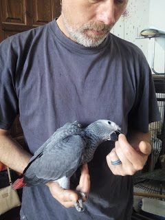 img_20180623_090434-4576162