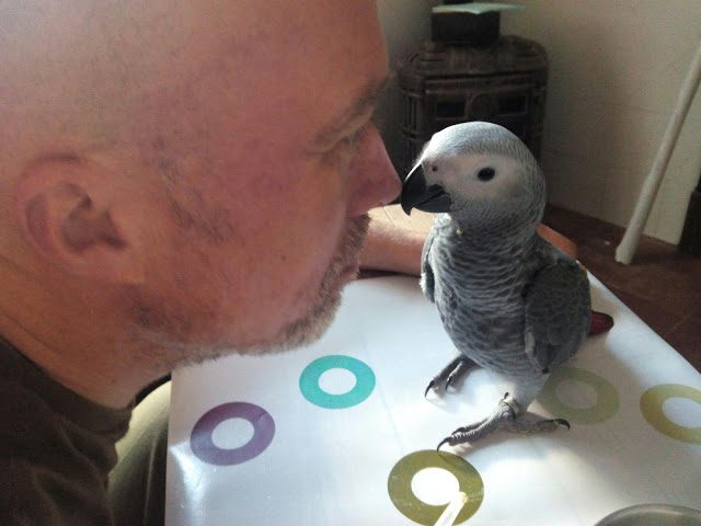 img_20180627_082947-4925835