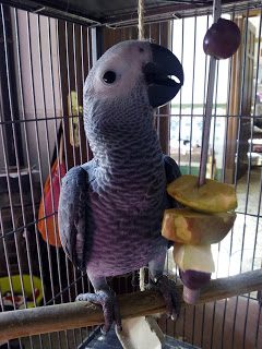 img_20180628_173521-8517932