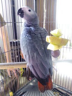 img_20180628_174643-2892567