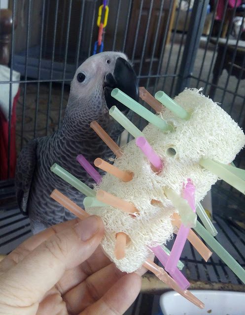 img_20180806_101015-8994720