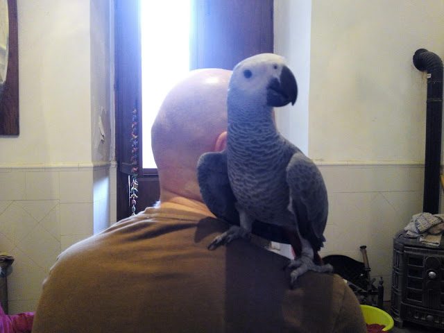 img_20180831_082228-2130329