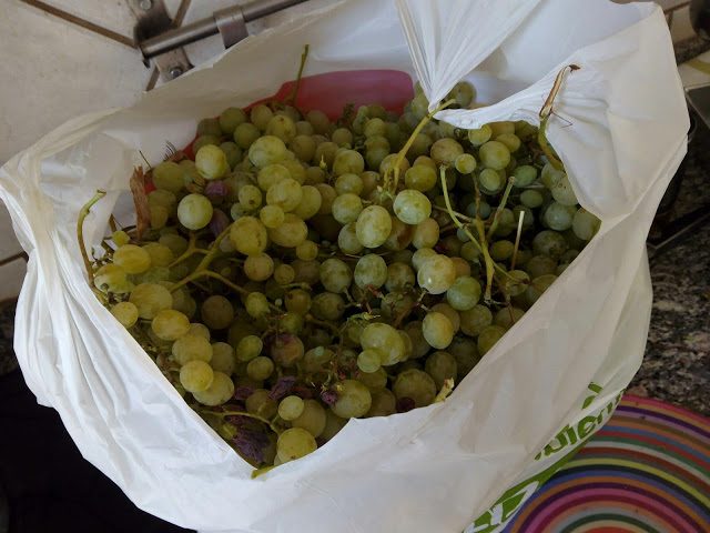 img_20180904_180956-5845190